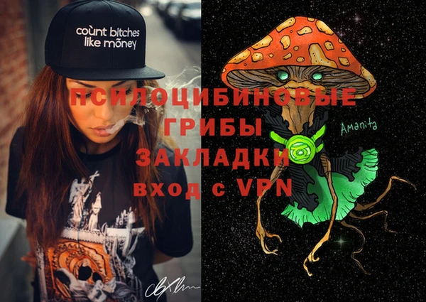 Альфа ПВП Алзамай