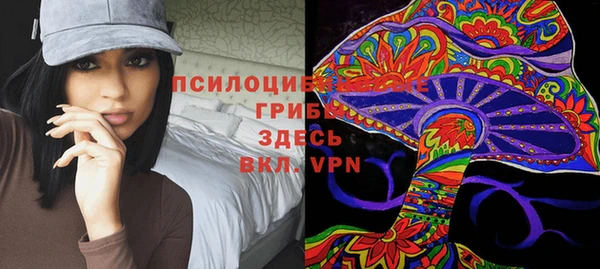 Альфа ПВП Алзамай