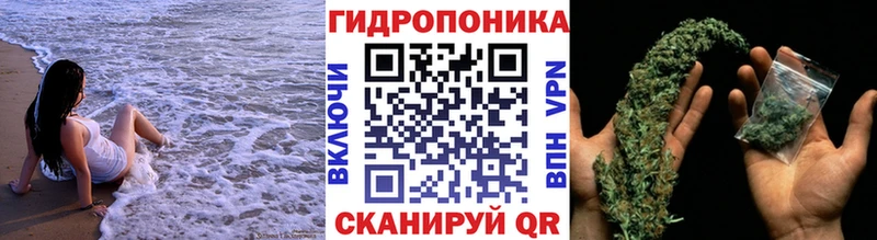 МАРИХУАНА семена  как найти закладки  Красноармейск 